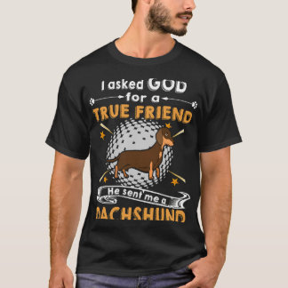 Camiseta 179 Eu Pedi A Deus Para Um Amigo Verdadeiro Ele Me