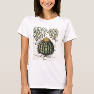 Camiseta 1.Melocactus; aperta de 2.Rosa Hiericontea; 3.Rosa
