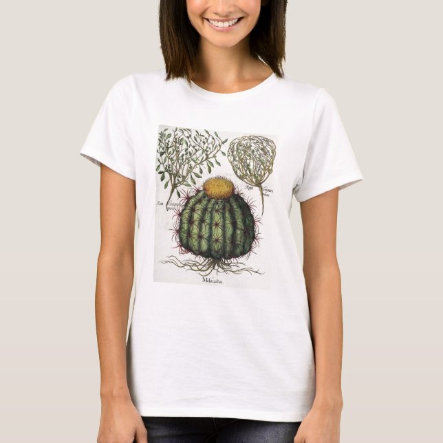 Camiseta 1.Melocactus; aperta de 2.Rosa Hiericontea; 3.Rosa (Frente)
