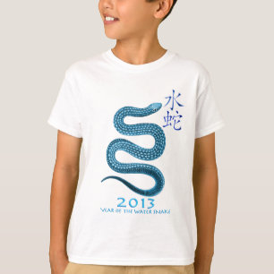 CAMISETA 2013