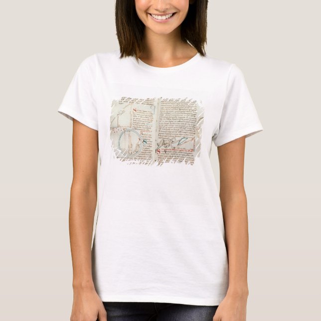 Camiseta 235 f.32 & 33 Geometry, de Traite d'Astron (Frente)