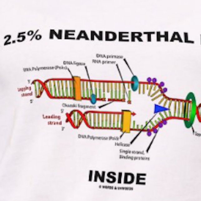 Camiseta 2,5% de Dentro de ADN Neandertal (Replicação de AD (Tee featuring DNA replication + the saying "2.5% Neanderthal [DNA] Inside" for any Homo sapien)