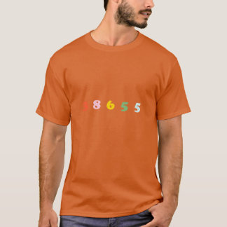 CAMISETA 38655