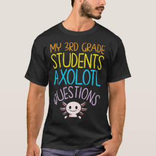 Camiseta 3.º ano de Apreciação de Professores nas Perguntas
