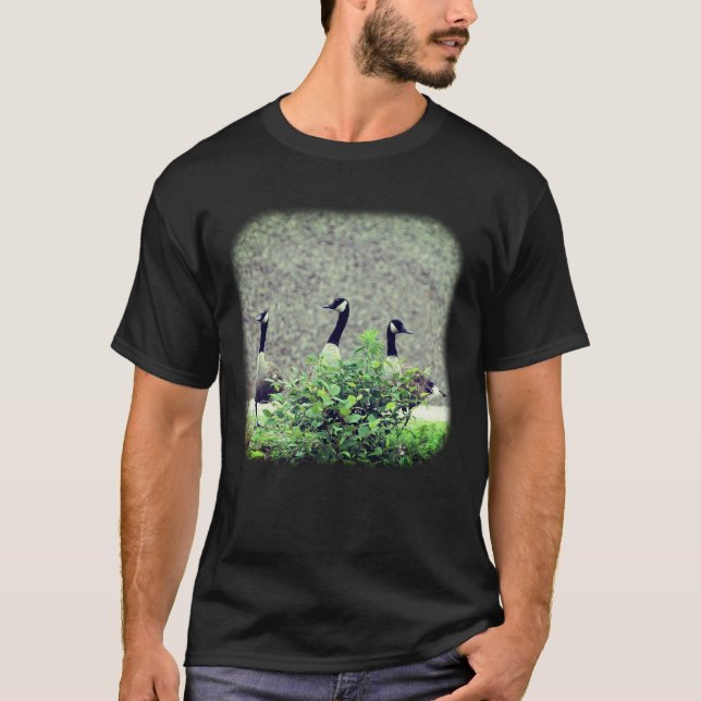 Camiseta 3 Canadá Geese Nature (Frente)