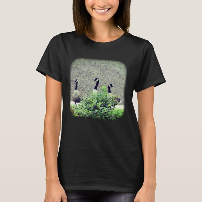 Camiseta 3 Canadá Geese Nature (Frente)