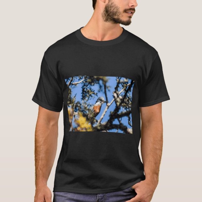 Camiseta 41617 meu amigo rei (Frente)