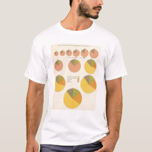Camiseta 42 população, elementos 1790-1900