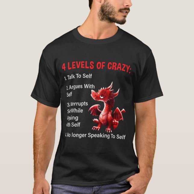 Camiseta 4 Levels Of Crazy Talks To Self Argues With Self D (Frente)