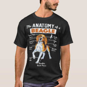 Camiseta A Anatomia De Um Beagle
