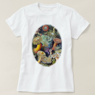Camiseta a arte da natureza por Ernst Haeckel