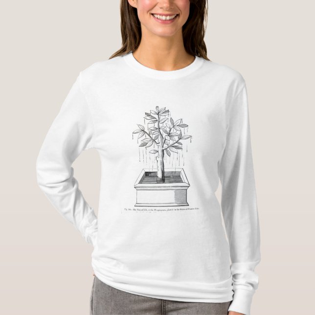 Camiseta A árvore de vida, ou a árvore Weeping (Frente)