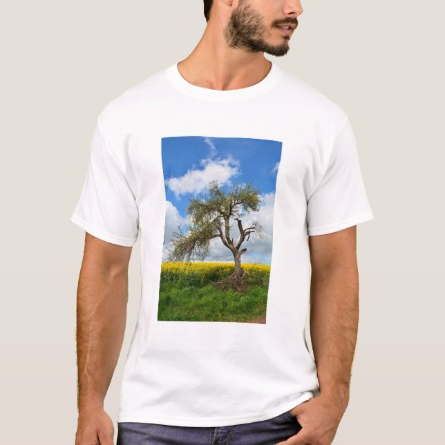 Camiseta A árvore velha (Frente)