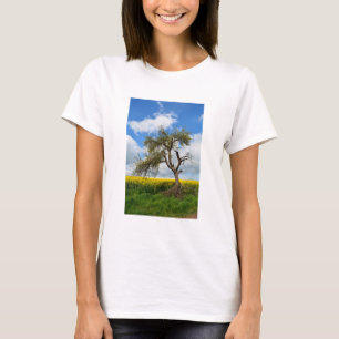Camiseta A árvore velha
