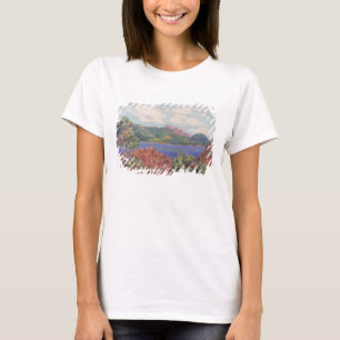Camiseta A baía de Agay, c.1905 (óleo em canvas)