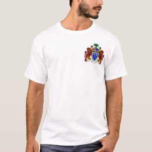 Camiseta A bandeira de Gambia