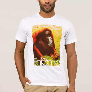 Camiseta A barba de Merlin