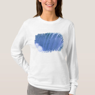 Camiseta À Beira das Poderosas Cataratas do Niágara, Nova Y