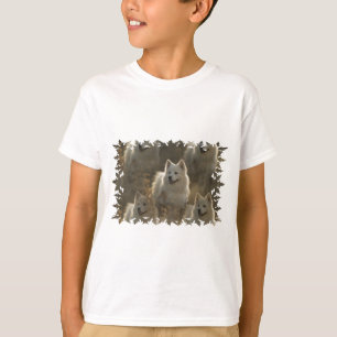 Camiseta A camisola das crianças da raça do cão do Samoy