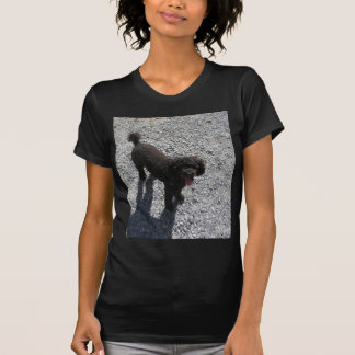Camiseta A caniche preta pequena