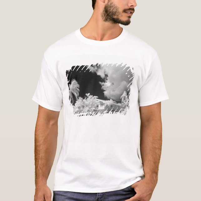 Camiseta A casa da Florida Keys e suas palmeiras, EUA. (Frente)