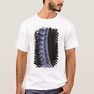 Camiseta A coluna vertebral 3
