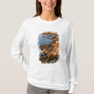 Camiseta A costa rochosa de Isle au Haut no