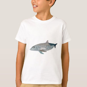 Camiseta A é para golfinho picado no Atlântico