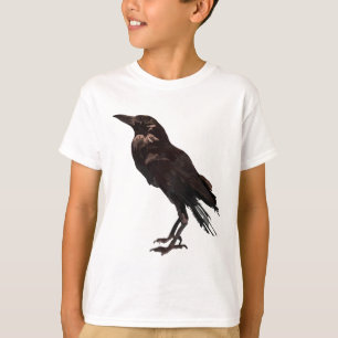 Camiseta A é para o americano Crow