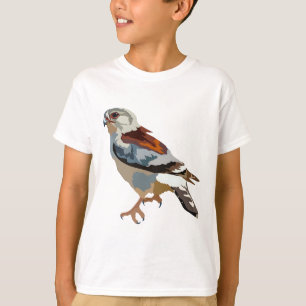 Camiseta A é para o Falcão Pigmeus Africano