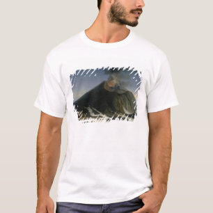 Camiseta A erupção de Etna