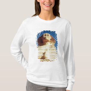 Camiseta A esfinge, datando do reino do rei