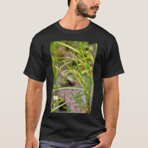 Camiseta A espiga de arroz em desenvolvimento, um símbolo d