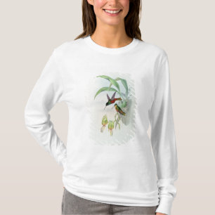 Camiseta A estrela de Bonaparte fronteou o colibri