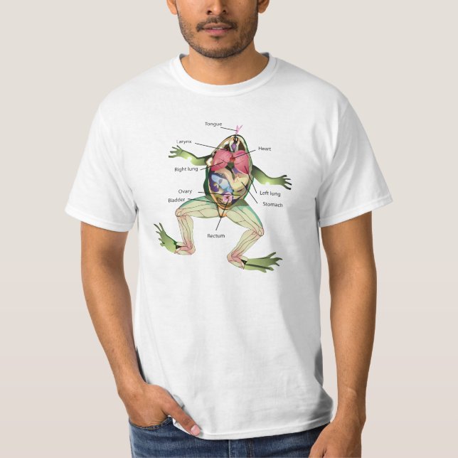 Camiseta A ilustração da anatomia do sapo (Frente)