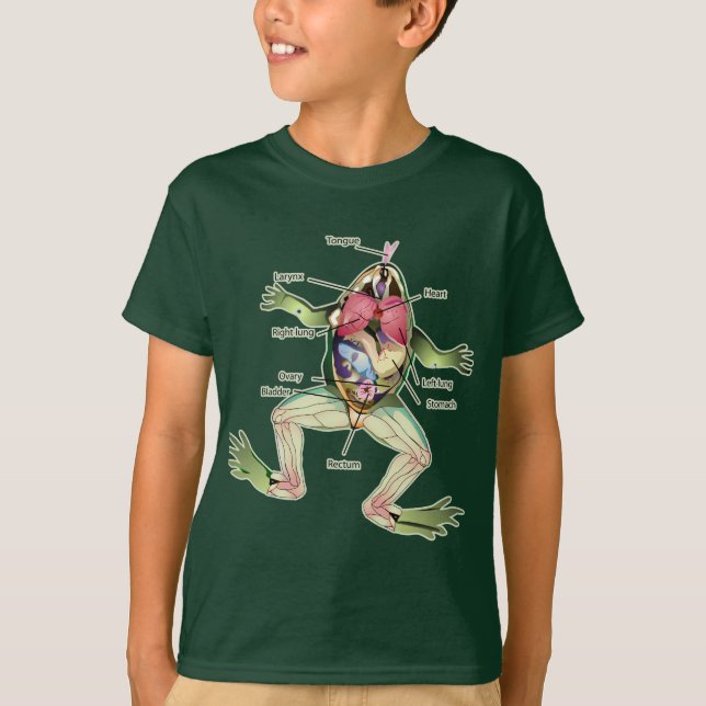 Camiseta A ilustração da anatomia do sapo (Frente)
