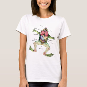 Camiseta A ilustração do gráfico da anatomia do sapo