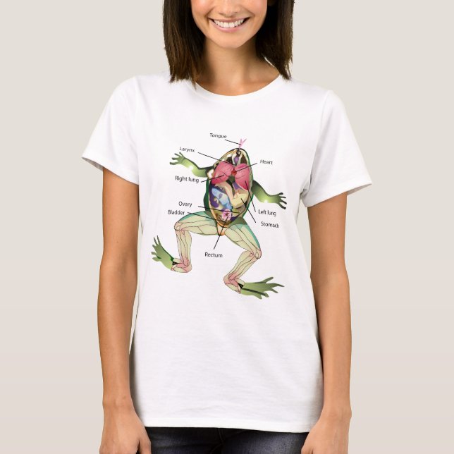 Camiseta A ilustração do gráfico da anatomia do sapo (Frente)