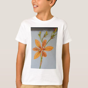 Camiseta A Iris, avistada por laranja, chamava-se Lily Blac