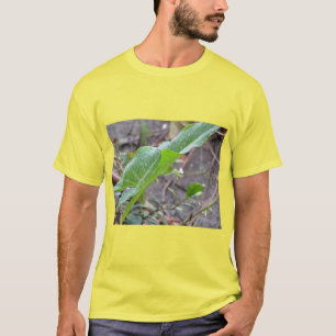 Camiseta A limpeza da natureza