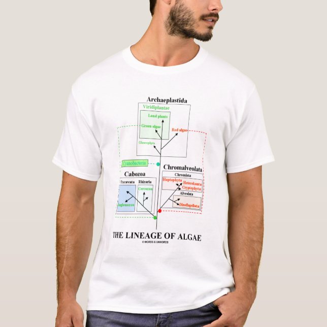 Camiseta A linhagem das algas (taxonomia) (Frente)