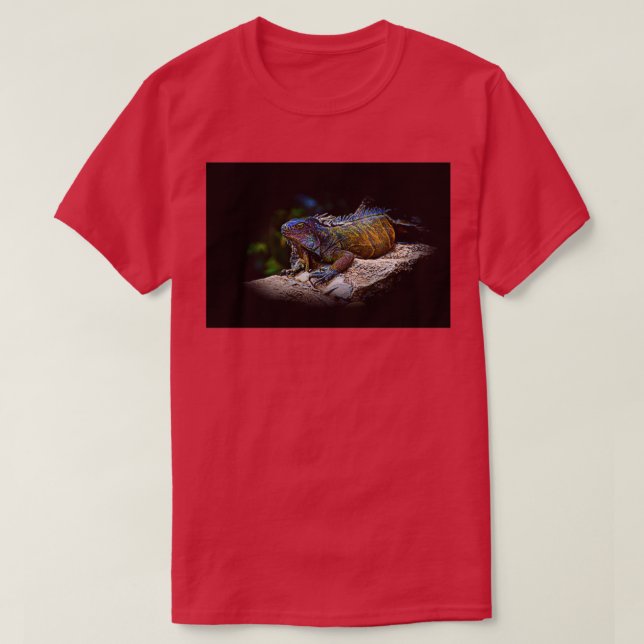 Camiseta A Lounging Montanita Iguana (Frente do Design)
