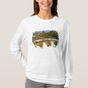 Camiseta A luz da manhã saúda Swiftcurrent Falls no