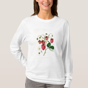 Camiseta A morango de Roseberry, gravada por Watte