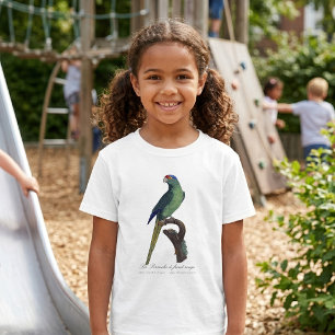 Camiseta A periquita-de-frente-vermelha 