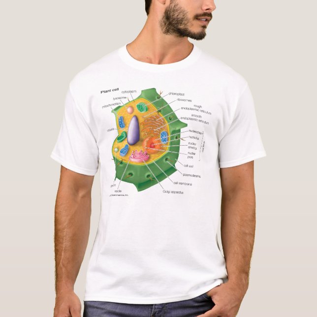 Camiseta A pilha da planta OBTEM EDUCADA (Frente)