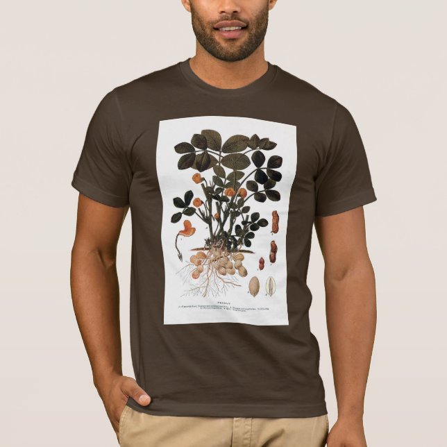 Camiseta A planta do amendoim (Frente)