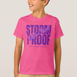 Camiseta À Prova de Tempestade Com Cristo - Bíblia Espírito