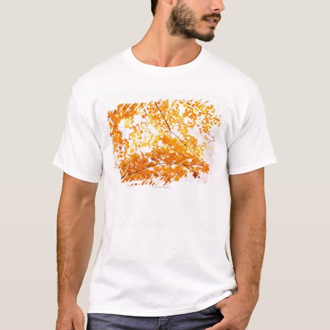 Camiseta A queda deixa a reflexão (Frente)