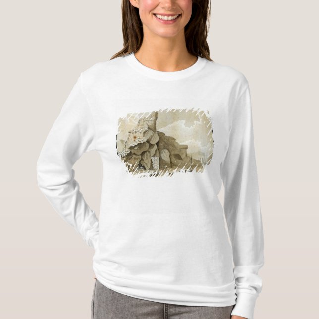 Camiseta A rocha de Quang-Yin (Frente)
